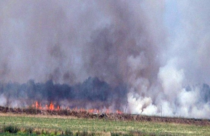 Fire breaks out at cotton receiving point in Azerbaijan